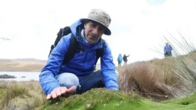 Photo of Marcha ambiental en Cuenca: ¿el renacer de Yaku Pérez?
