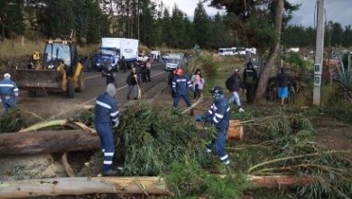 Photo of Millonaria factura por pérdidas por el paro, compensaciones y eliminación del subsidio al diésel
