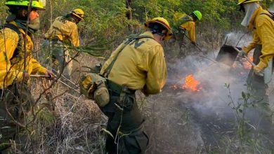 Photo of Incendio en frontera entre Paraguay y Bolivia arrasa con 16.000 hectáreas de vegetación