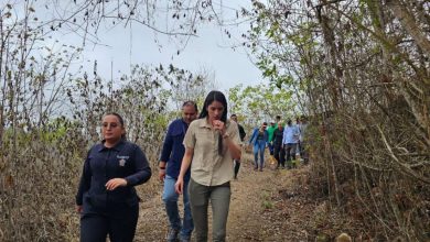 Photo of El ‘Santuario de Vida El Perro Feliz’ es la nueva área natural de conservación en Manabí