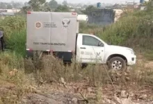 Photo of Ocho personas fueron torturadas y asesinadas cerca de Patricia Pilar