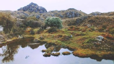 Photo of Gobierno revoca la licencia ambiental del proyecto minero Loma Larga tras informes de Cuenca y Azuay