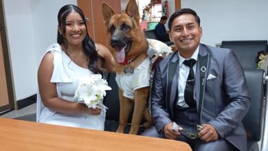 Photo of Los divorcios sumaron casi la mitad de los matrimonios en 2025