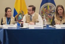 Photo of Consulta popular y referéndum: 972 observadores, entre nacionales e internacionales vigilarán el proceso