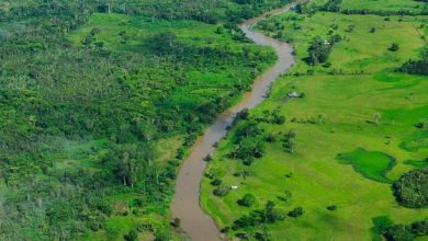 Photo of Brasil lidera un nuevo fondo para priorizar la protección de los bosques en la acción climática
