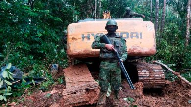 Photo of Gobierno recorta $ 131 millones a Fuerzas Armadas para 2026