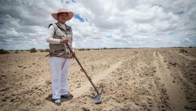 Photo of La tierra se degrada afectando la productividad agrícola y amenazando a 1700 millones de personas