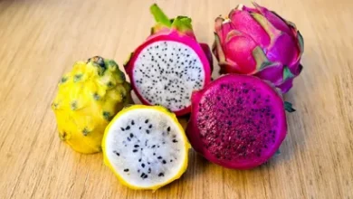 Photo of Boom de la pitahaya ecuatoriana: exportaciones crecen 39% y llegan a nuevos destinos