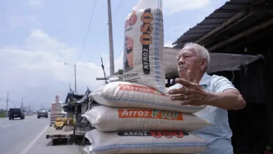 Photo of Noboa autoriza al Estado a comprar, almacenar y vender maíz y arroz para controlar precios y frenar especulación