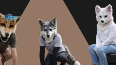 Photo of ¿ Ser therian es un transtorno mental ?