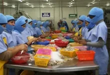 Photo of Contratar trabajadores en Ecuador es más caro que en Colombia y Perú