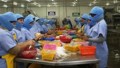 Photo of Contratar trabajadores en Ecuador es más caro que en Colombia y Perú