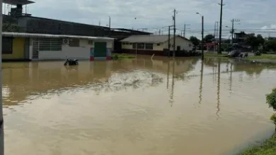 Photo of Informe en el que se basa el CNE para adelantar las elecciones no es concluyente de crisis climática