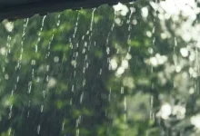 Photo of Gobierno pide activar COE cantonales y provinciales ante posible fenómeno de El Niño