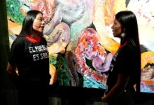 Photo of Ecuador llevará propuestas andino-amazónicas a la Bienal de Venecia 2026