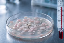 Photo of El cambio climático podría hacer bacterias más resistentes a los antibióticos, según el primer análisis global
