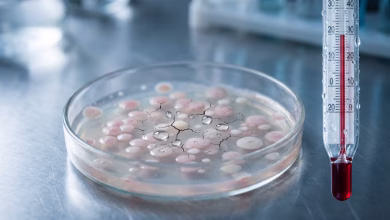Photo of El cambio climático podría hacer bacterias más resistentes a los antibióticos, según el primer análisis global