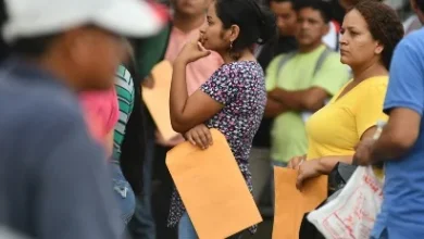 Photo of Uno de cada cuatro graduados en Ecuador se concentra en 10 carreras mientras escasea talento técnico