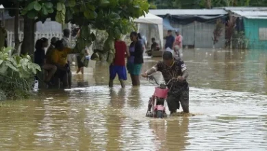Photo of El Niño amenaza con encarecer alimentos y golpear la producción en Ecuador