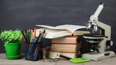 Photo of ¿Los docentes en Ecuador deberán trabajar los sábados? El Ministerio de Educación y la UNE chocan por nuevo acuerdo