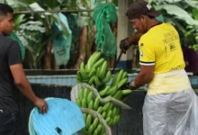 Photo of Un ecuatoriano necesita más del triple de tiempo que un luxemburgués para generar la misma riqueza