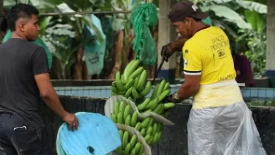 Photo of Un ecuatoriano necesita más del triple de tiempo que un luxemburgués para generar la misma riqueza