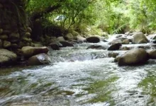 Photo of Loja: ambientalistas plantean impedir minería en la zona de Vilcabamba y el río Catamayo