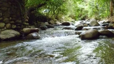Photo of Loja: ambientalistas plantean impedir minería en la zona de Vilcabamba y el río Catamayo