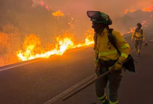 Photo of Al menos doce muertos y 23 personas desaparecidas por el incendio de Los Gallardos, en Almería: “Es una tragedia sin precedentes”