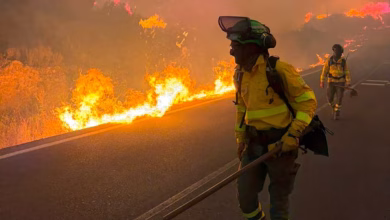 Photo of Al menos doce muertos y 23 personas desaparecidas por el incendio de Los Gallardos, en Almería: “Es una tragedia sin precedentes”