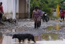 Photo of Fenómeno de El Niño pone en riesgo a 884.193 estudiantes en Ecuador