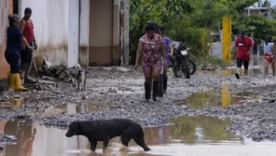 Photo of Fenómeno de El Niño pone en riesgo a 884.193 estudiantes en Ecuador