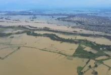 Photo of El Niño y crédito agrícola: maíz y arroz, los cultivos con mayor riesgo en Ecuador