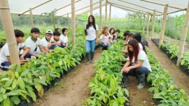 Photo of Cacao en La Maná: alternativa de ingresos para jóvenes en Cotopaxi