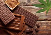 Photo of Más de 700 empresas mueven el cannabis en Ecuador y una de ellas llega a París con chocolate con CBD