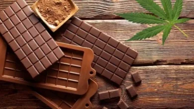 Photo of Más de 700 empresas mueven el cannabis en Ecuador y una de ellas llega a París con chocolate con CBD